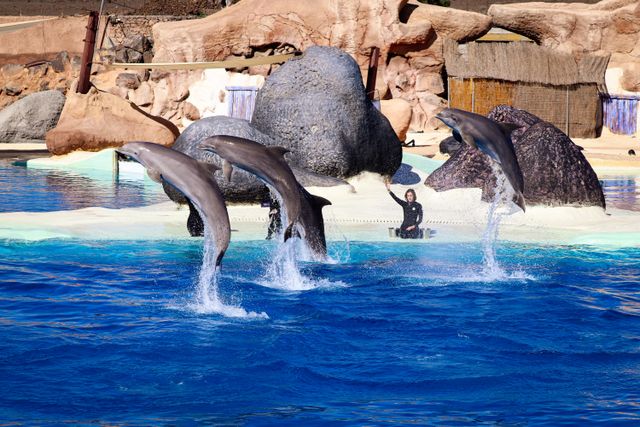 Rancho Parck Lanzarote tickets y como llegar