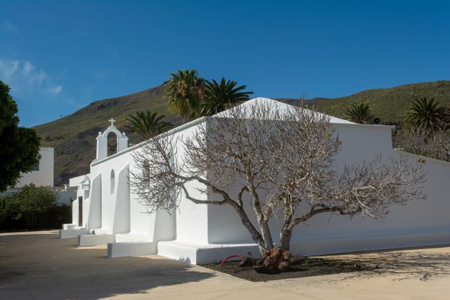 Haría, Lanzarote the Valley of a Thousand Palms