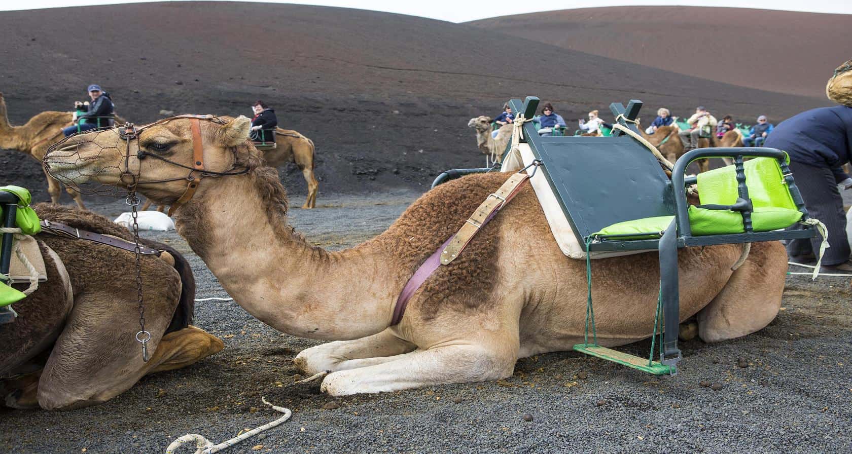 Timanfaya National Park