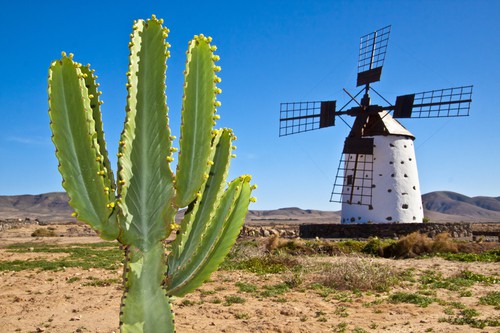 Fuerteventura