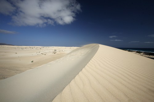 Fuerteventura dunas